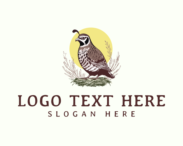 Quail Haven Nesting